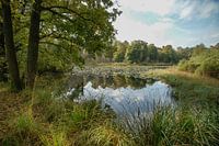 Het Heiven kijkend vanaf de Bosweg