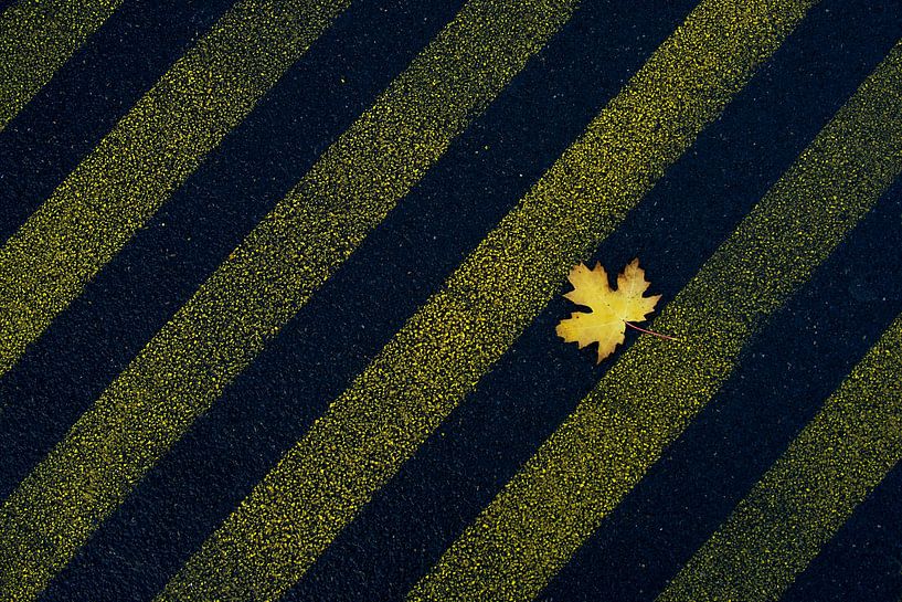 Herfst in aanbouw par Wijnand Kroes