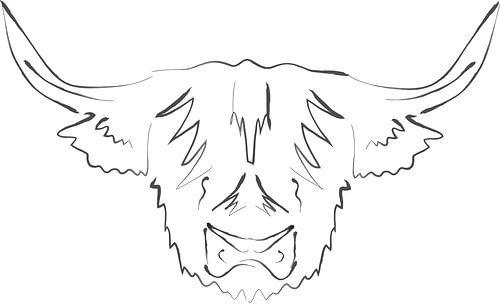 Schotse hooglander line art