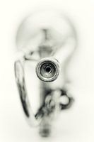 Sentimental Mood.... (music, musical instrument, trumpet)