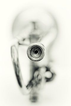 Sentimental Mood.... (muziek, muziekinstrument, trompet) van Bob Daalder