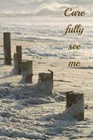 See me