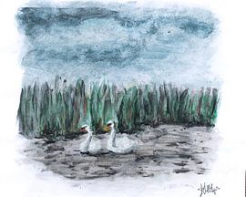 Swans in the werribben by Heleen Stulp