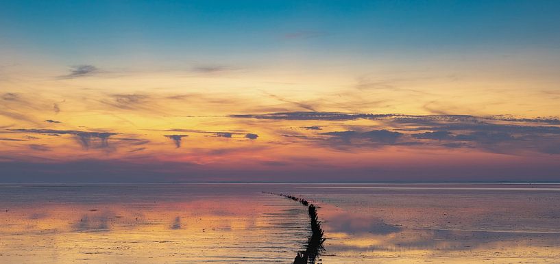 Panorama Wattenmeer von Nico Buijs