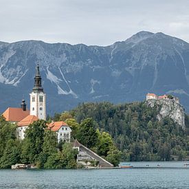 zicht op beroemde kerk in het meer van Bled in Slovenië van Eric van Nieuwland