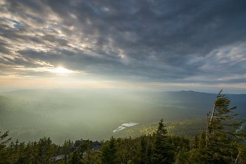Abendlicht am großen Arber