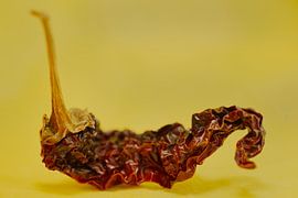 Enkele rode gedroogde hete pepers op geel landschap van Iris Holzer Richardson