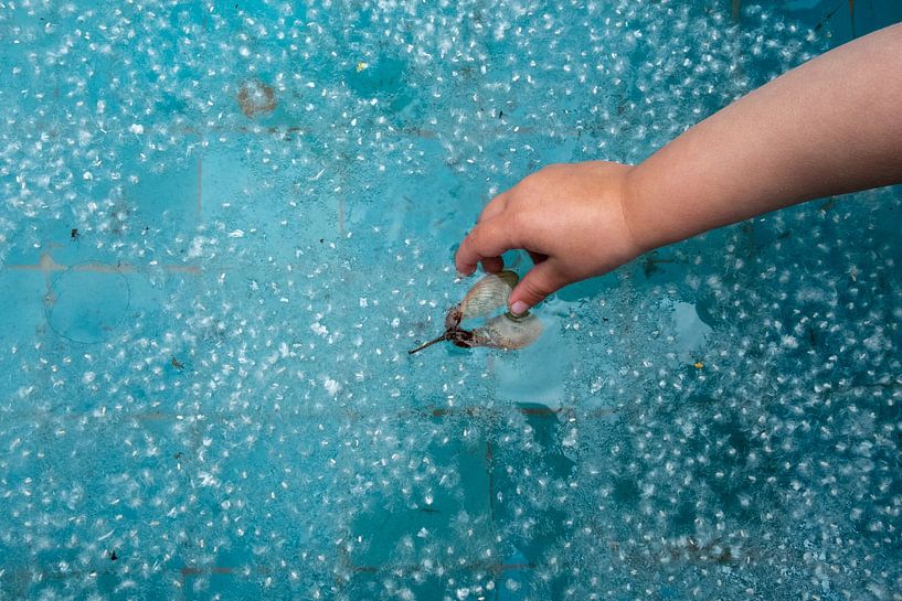 Toddler's hand grabs helicopter from water by Betty van Engelen