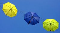 Regenschirme in Culemborg