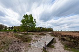 Long Exposure Balloerveld with bridge and floating clouds