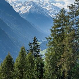Stubai Glacier, Stubai Valley by Torsten Krüger