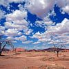 Namib Naukluft Park von WeltReisender Magazin