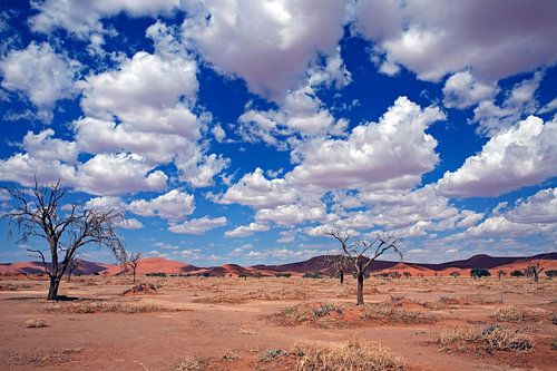 Namib Naukluft Park unter Wolken