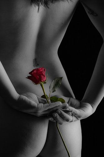 Nackte Frau mit einer Rose
