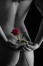 Naked woman with a rose van Leo van Valkenburg thumbnail