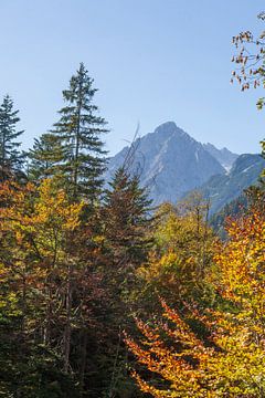 Leutaschtal mit Bergen im Herbst, Mittenwald