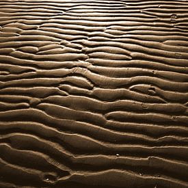 Zandgolven by Petra De Wit