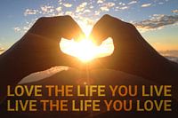 Zitat Life und Love