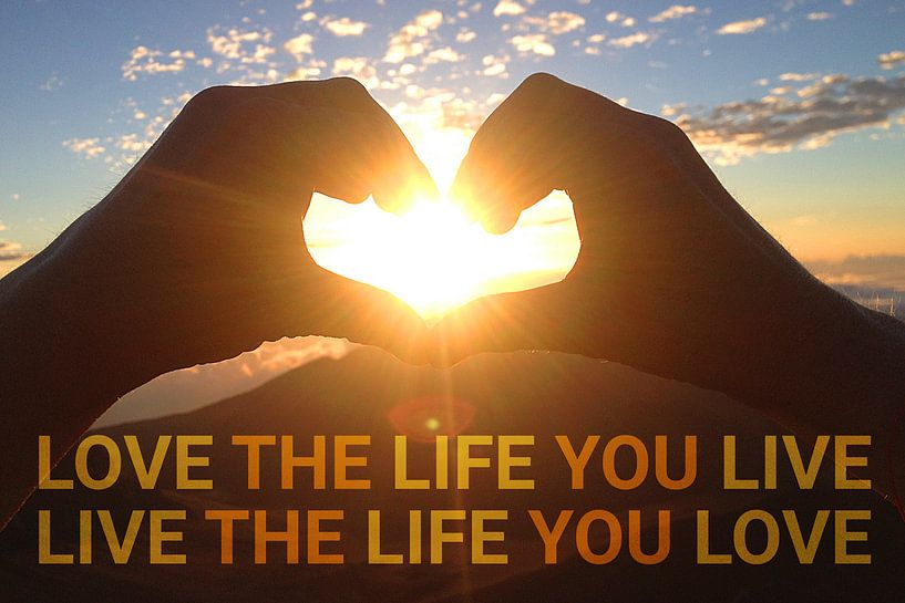 Zitat Life und Love van Martina Dormann