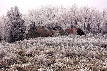 Wintermagie in het huis met rieten dak in de natuur