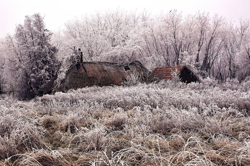 Winter magic at the thatched roof house in nature by Tibor Nagy