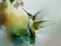 Small hummingbird sucks nectar from flower, series: Birds
