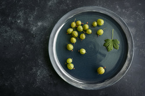Einige frisch geerntete Bio-Stachelbeeren auf einer dunkelblauen Platte und dunklem Hintergrund, Kop