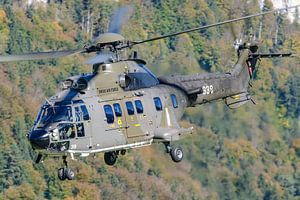 Schweizer Aerospatiale AS332M1 Super Puma (T-339).