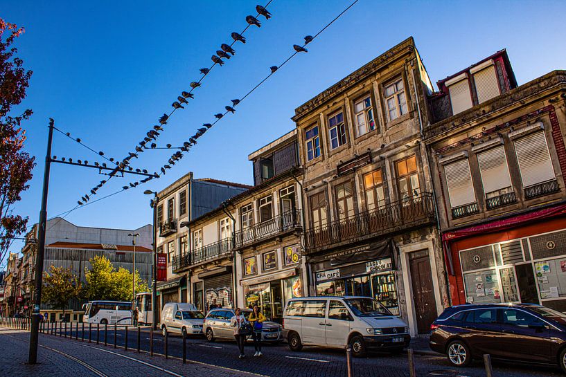 Kleurrijk Porto Straatbeeld | Stadsfotografie | Reisfotografie van Daan Duvillier | Dsquared Photography