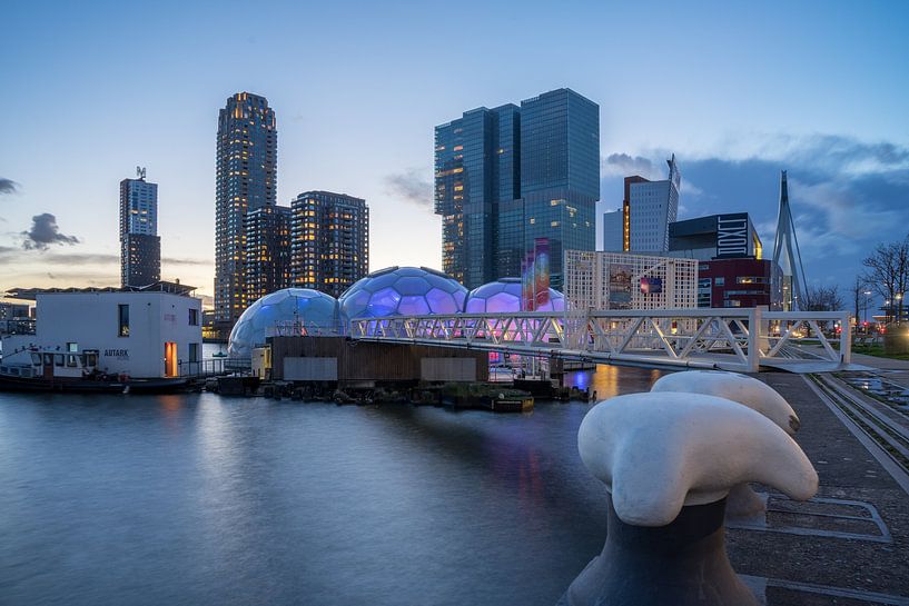 kop van zuid van Michael van Dam