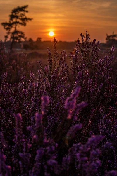 Paysage atmosphérique au coucher du soleil par Danielle de Graaf