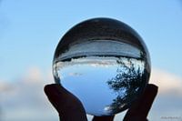 The upside-down world.