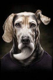 Dog portrait in Old Masters style - The Baroque Seer by Joriali Fine Art