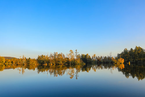 Herfstsfeer bij de Nillsee in de Pfrunger-Burgweiler Ried bij Wilhelmsdorf
