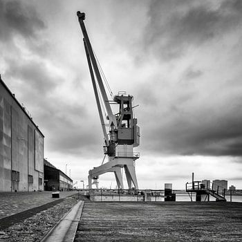 Grue portuaire sur l'ancien site de RDM Heijplaat Rotterdam