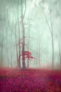 Forêt brumeuse éthérée avec feuillage rouge