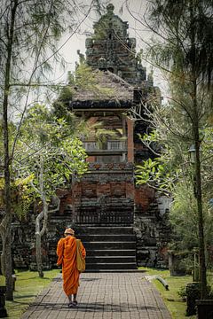 Sri Lanka Fruit by Dirk Lahuis