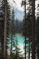 Het blauwe water van Emerald Lake | travelphotography | Canada