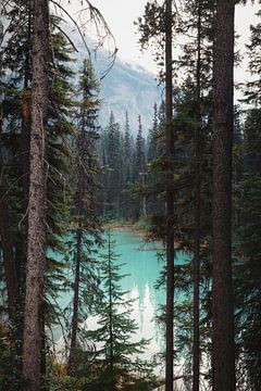 Het blauwe water van Emerald Lake | travelphotography | Canada van Laura Dijkslag