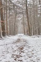 Schnee!