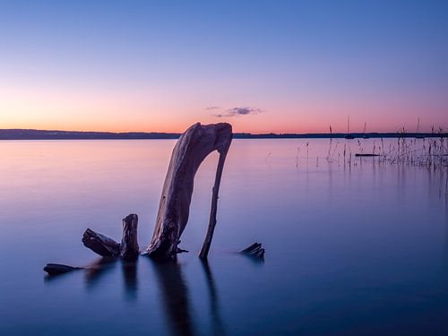 De schoen in de Ammersee
