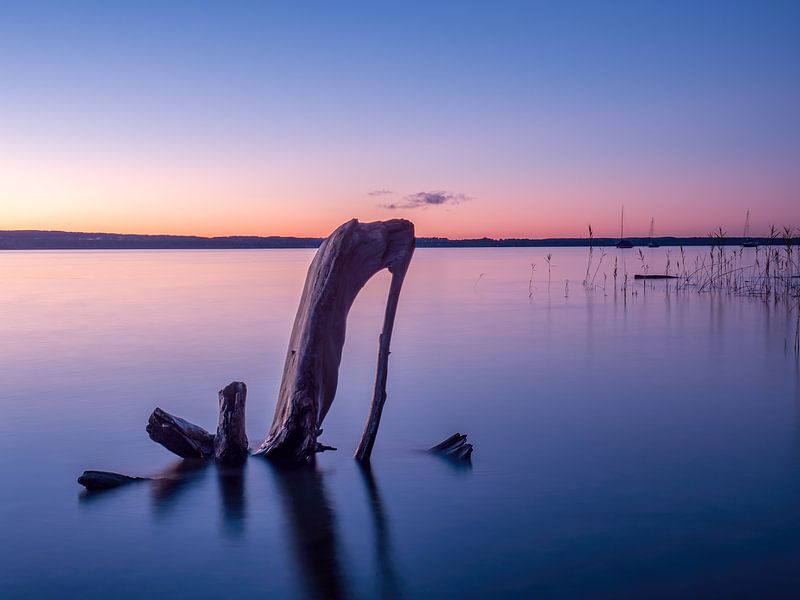 Der Schuh im Ammersee von calvaine8