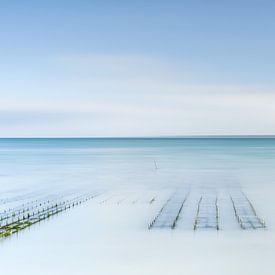 Oyster cultivation during rising tide by Claire van Dun