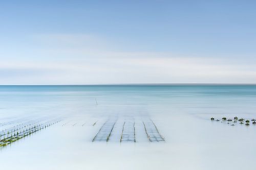 Austernzucht bei steigender Flut