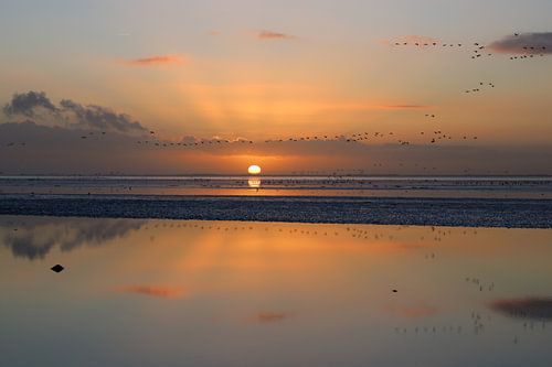 Het wad ontwaakt