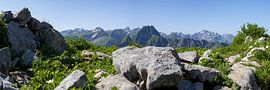 Zwischen rauem Fels und sanftem Grün