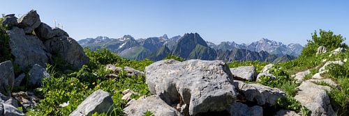 Between rugged rock and lush greenery by Walter G. Allgöwer