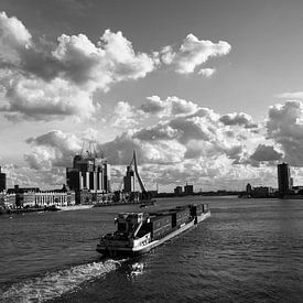Rotterdam in beeld van Edwin Branbergen