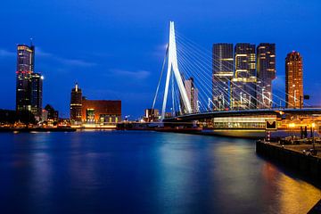 Rotterdam van Celine