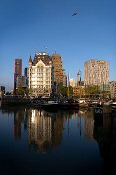 Witte huis in de vroege morgen